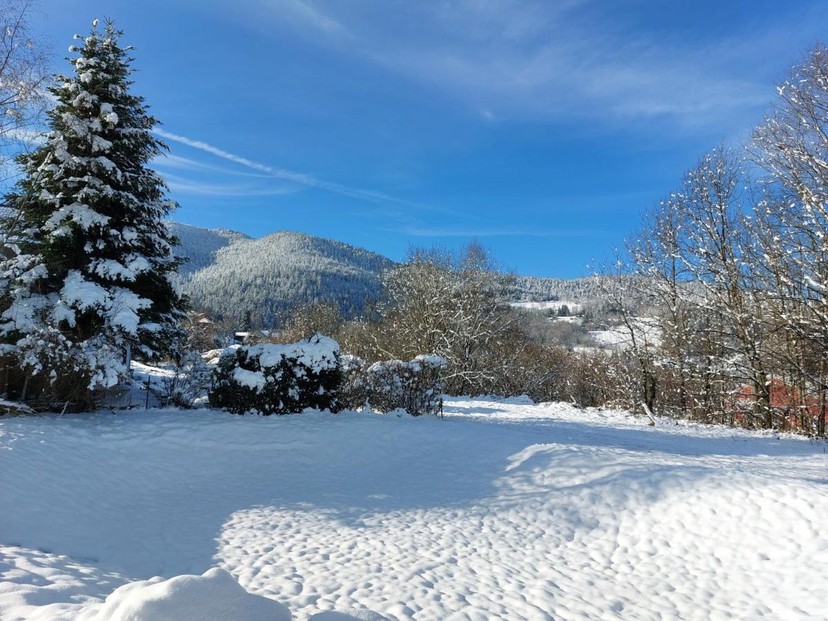 Au Bonheur Fait Maison Bed & Breakfast Saint-Maurice-sur-Moselle Exterior foto